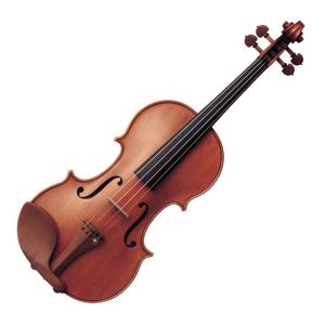 Violini